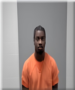 Mugshot of Duane Williams