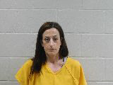 Mugshot of Jessica Rose Levine