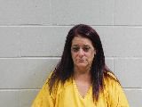 Mugshot of Laurie Ann Larson