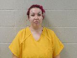 Mugshot of Miranda Elizabeth Erickson