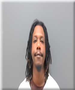 Mugshot of Travian Mcgloun