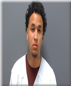 Mugshot of Deshawn Maull