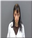 Mugshot of Stephanie Hollenbeck