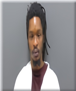 Mugshot of Dion Behm