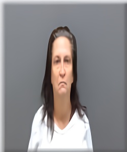 Mugshot of Michelle Lopez