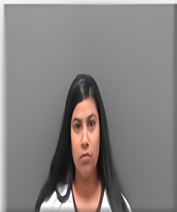 Mugshot of Yilena Vasquez