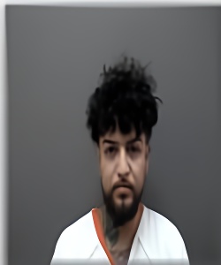 Mugshot of Armando Gollaz