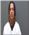 Mugshot of Diminnieon Martin