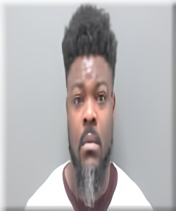 Mugshot of Larrice Powell