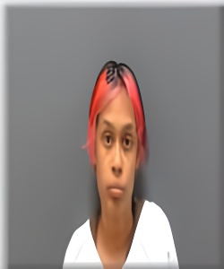 Mugshot of Aniya Price