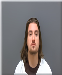 Mugshot of Tristan Besson