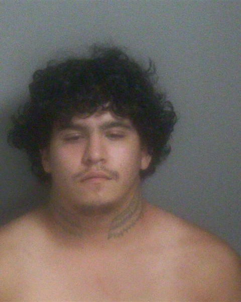 Mugshot of WOODY JR BIRD