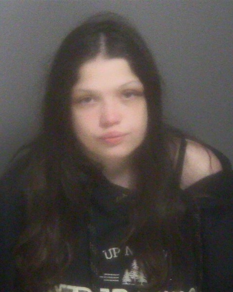 Mugshot of NATALIE MARIE POELSTERL