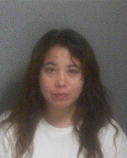 Mugshot of REBECCA ASHLEY ROBEY