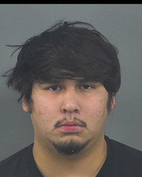 Mugshot of BRADLEY D TREPANIA