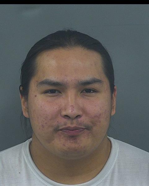 Mugshot of VINCE L WILLIAMS