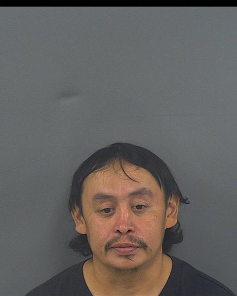 Mugshot of ROBERT L DENASHA