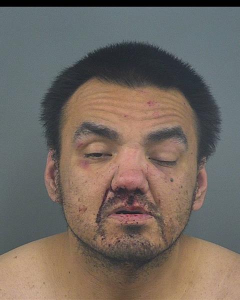 Mugshot of NORMAN J PRICE