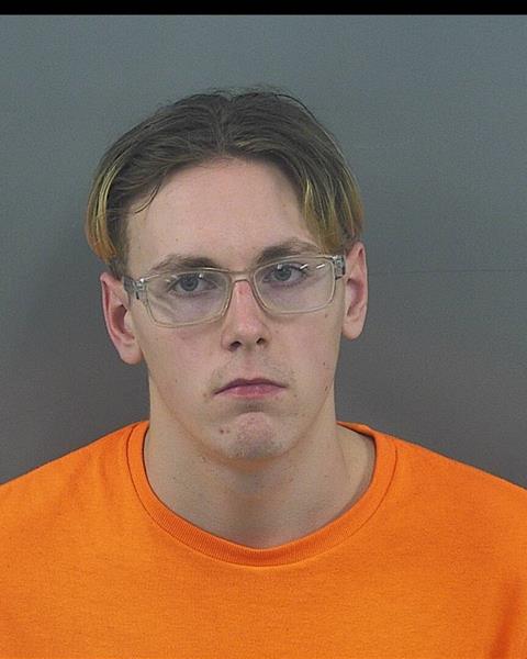 Mugshot of RICKYLEE C COX