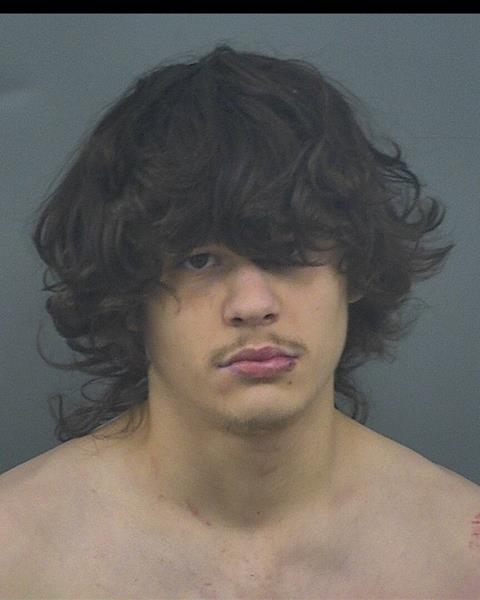Mugshot of CARSON B AHRENS