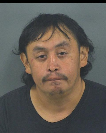 Mugshot of ROBERT L DENASHA
