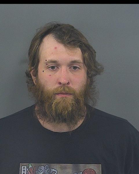 Mugshot of LOGAN R MCLENNAN