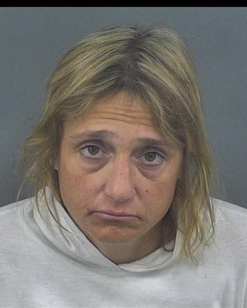 Mugshot of THERESE L FISCHER