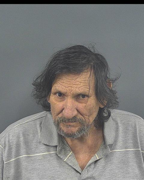 Mugshot of JAN C LARONGE