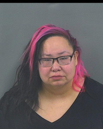Mugshot of LISA M CROSS