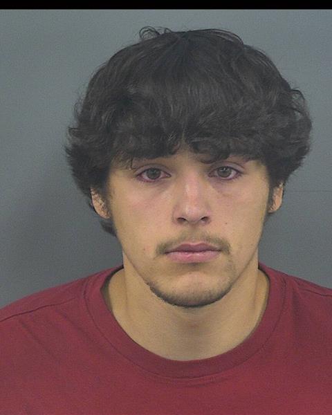 Mugshot of BRENNEN T BOSWELL