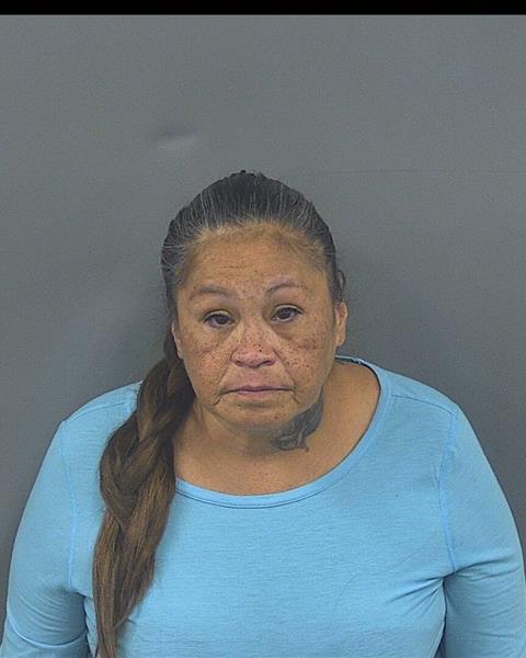 Mugshot of JULIE L KIRK