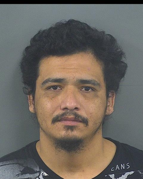 Mugshot of STEPHEN L MILAM