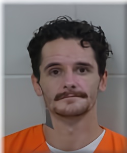 Mugshot of Lucas Stach