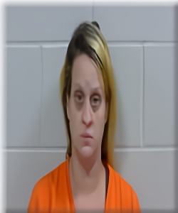 Mugshot of Jolene Lowe