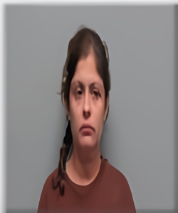 Mugshot of Estrella Havey Heredia