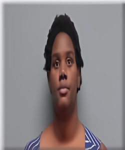 Mugshot of Dionna Punzel