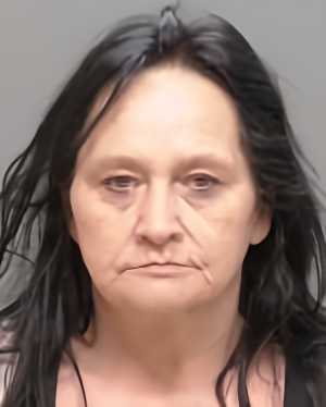 Mugshot of Dawn Marie Goulet