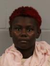 Mugshot of Sherina Laedna Drake