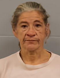 Mugshot of Amy Michelle Brown