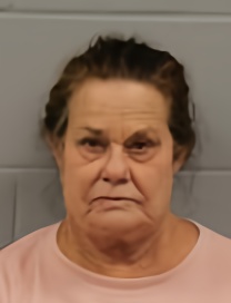Mugshot of Leslie Lorraine Borest