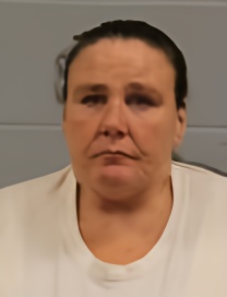 Mugshot of Bobbi Lynn Frazier
