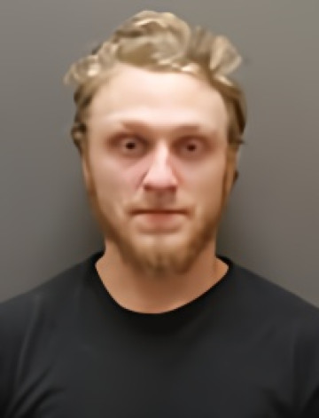 Mugshot of GAVIN HARTMAN