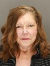Mugshot of CARRIE VOLK