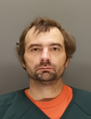 Mugshot of STEVEN WALLIN