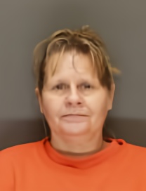 Mugshot of GINA STEYN