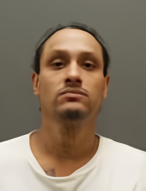 Mugshot of LUIS PADILLA