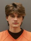Mugshot of ALEXANDER FENNE