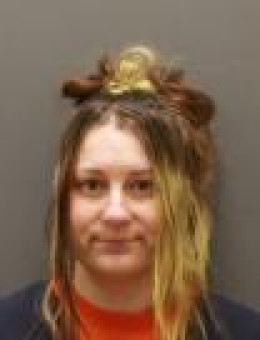 Mugshot of NICOLE DUMONT