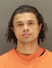 Mugshot of DAWSON LOVESTRAND