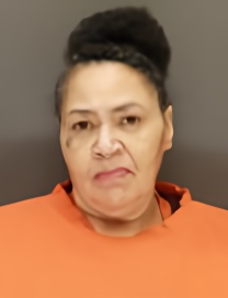Mugshot of THERESA KANTORSKI